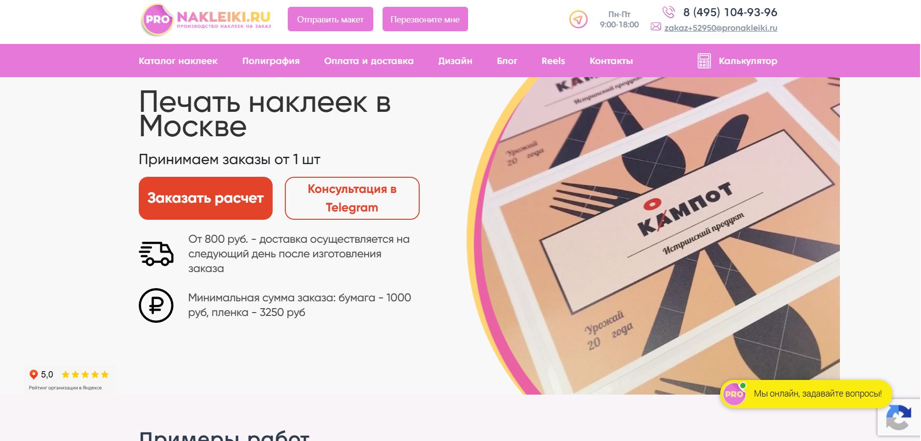 SEO продвижение сайта pronakleiki.ru